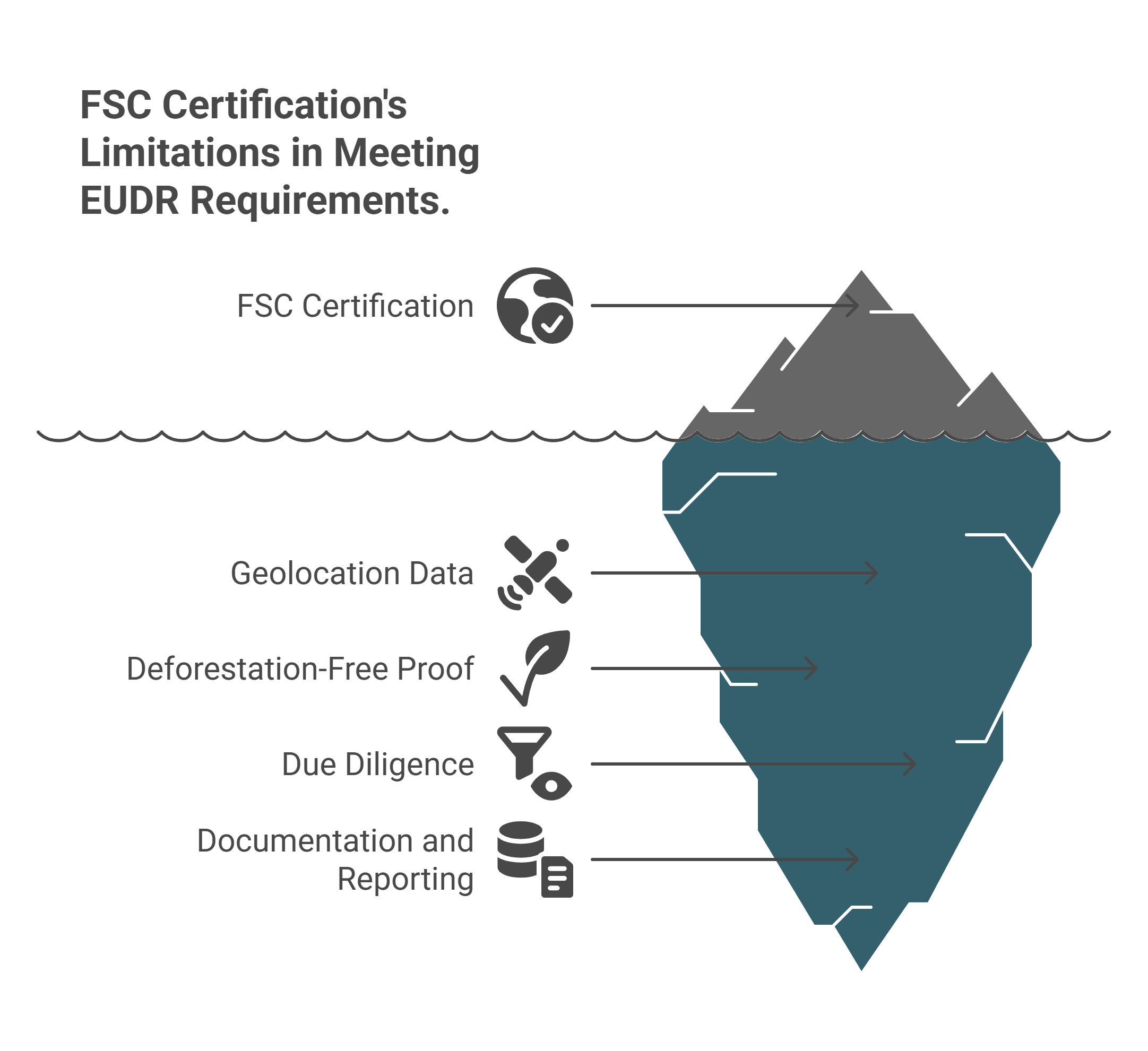 Why FSC Certification Alone Falls Short - visual selection
